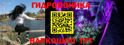метадон Аргун