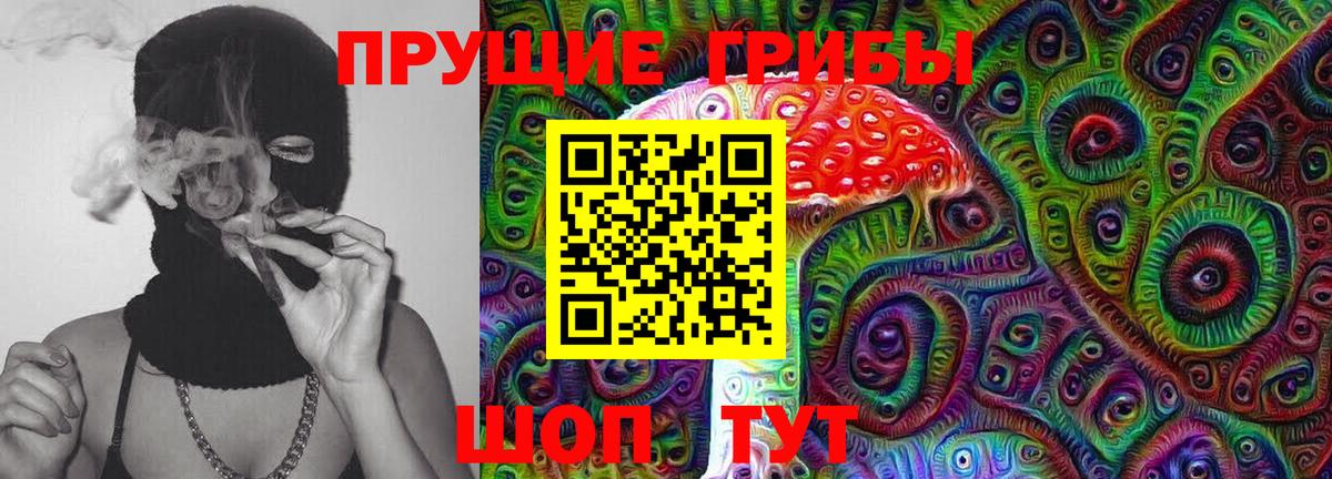 купить  сайты  Галлюциногенные грибы Magic Shrooms  Бахчисарай  Вход с VPN  Псилоцибиновые грибы Psilocybe 