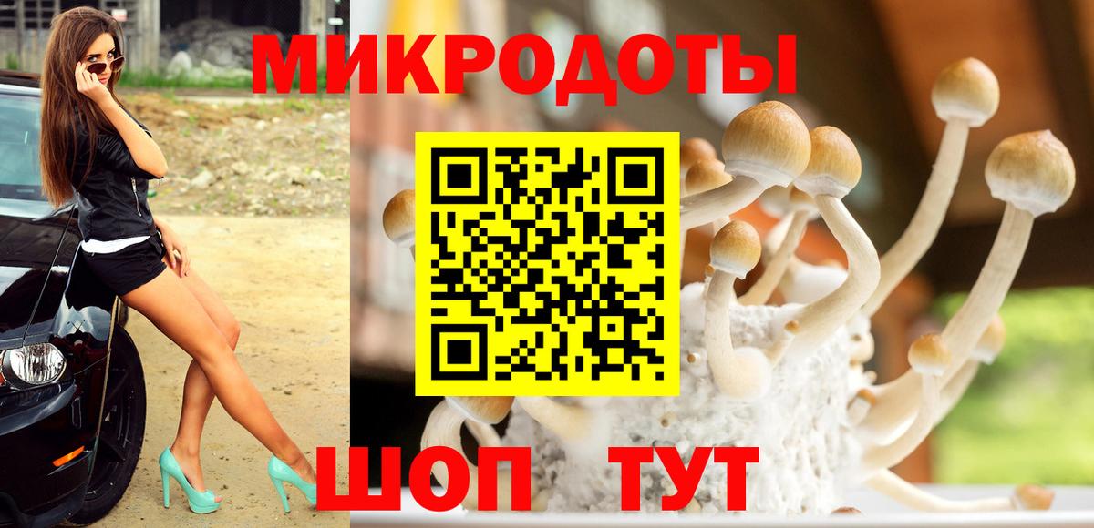 Псилоцибиновые грибы Psilocybine cubensis Бахчисарай
